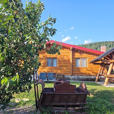 Cabana Alesia, Relaxare La Poalele Raraului Câmpulung Moldovenesc Exterior photo