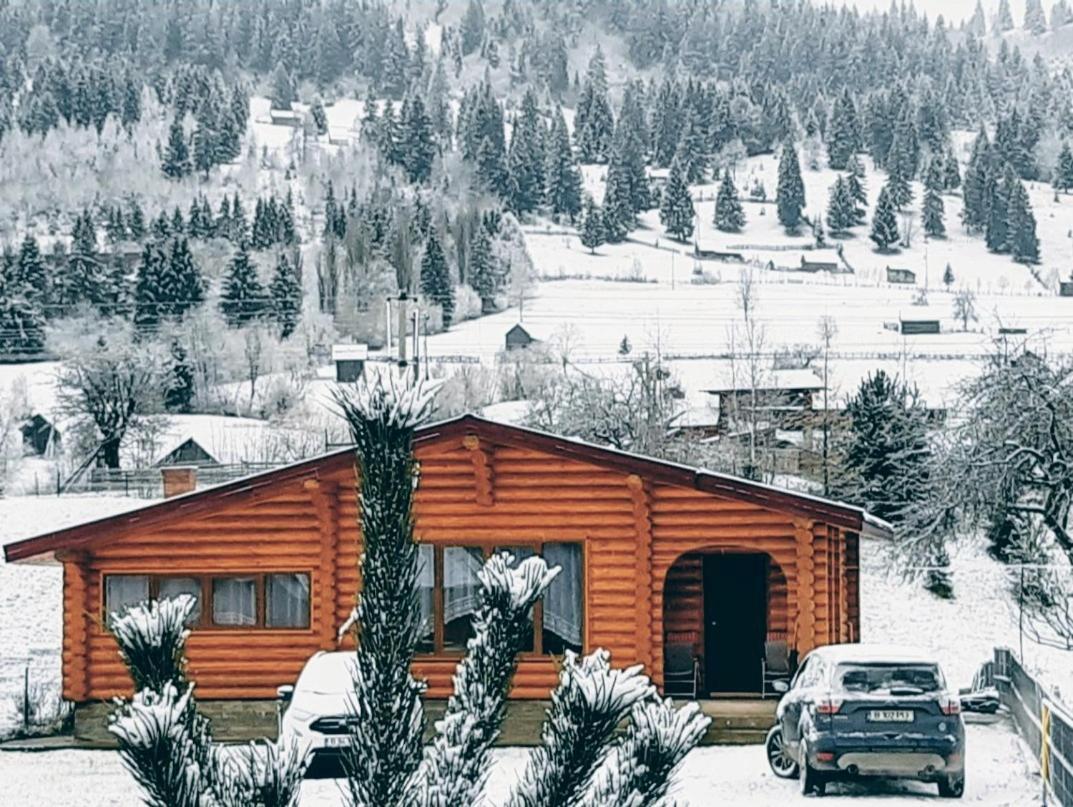 Cabana Alesia, Relaxare La Poalele Raraului Câmpulung Moldovenesc Exterior photo