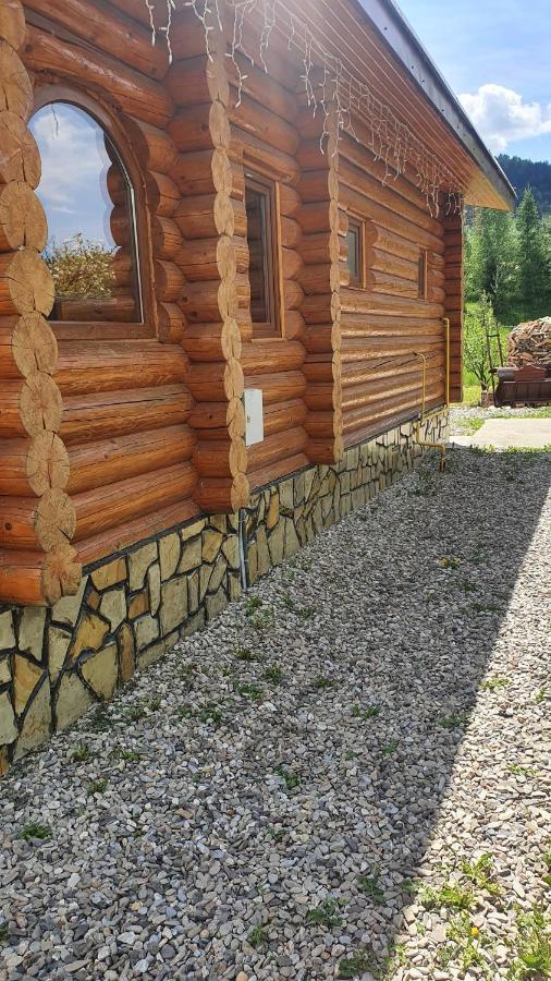 Cabana Alesia, Relaxare La Poalele Raraului Câmpulung Moldovenesc Exterior photo