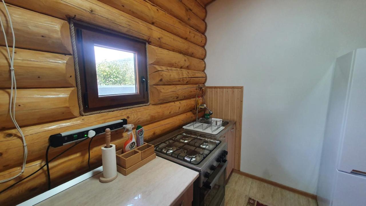 Cabana Alesia, Relaxare La Poalele Raraului Câmpulung Moldovenesc Exterior photo