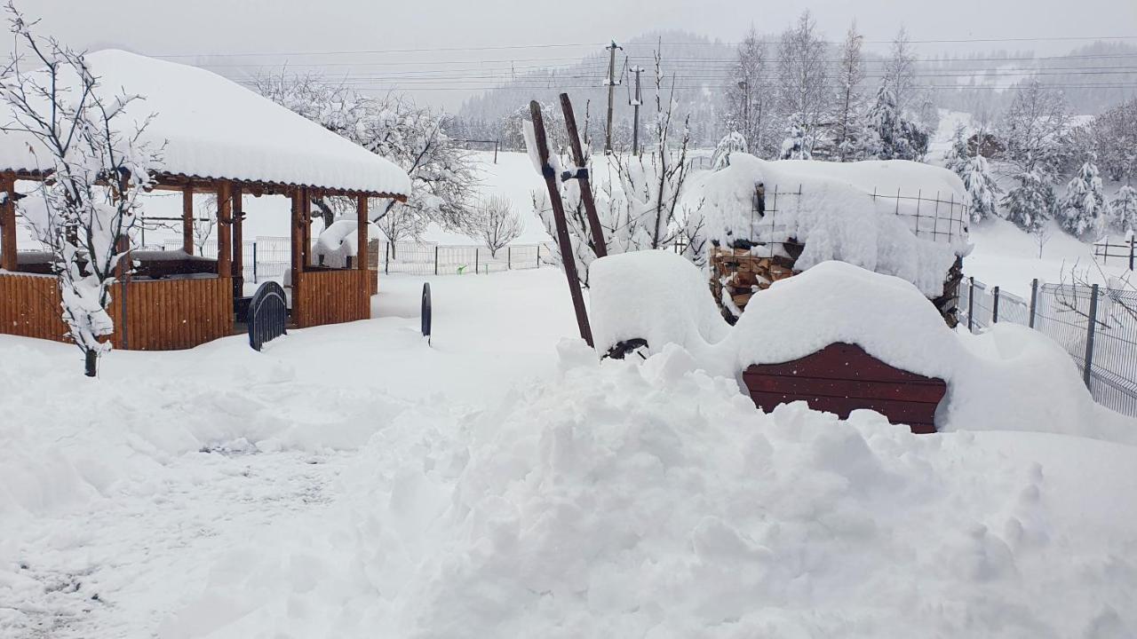 Cabana Alesia, Relaxare La Poalele Raraului Câmpulung Moldovenesc Exterior photo