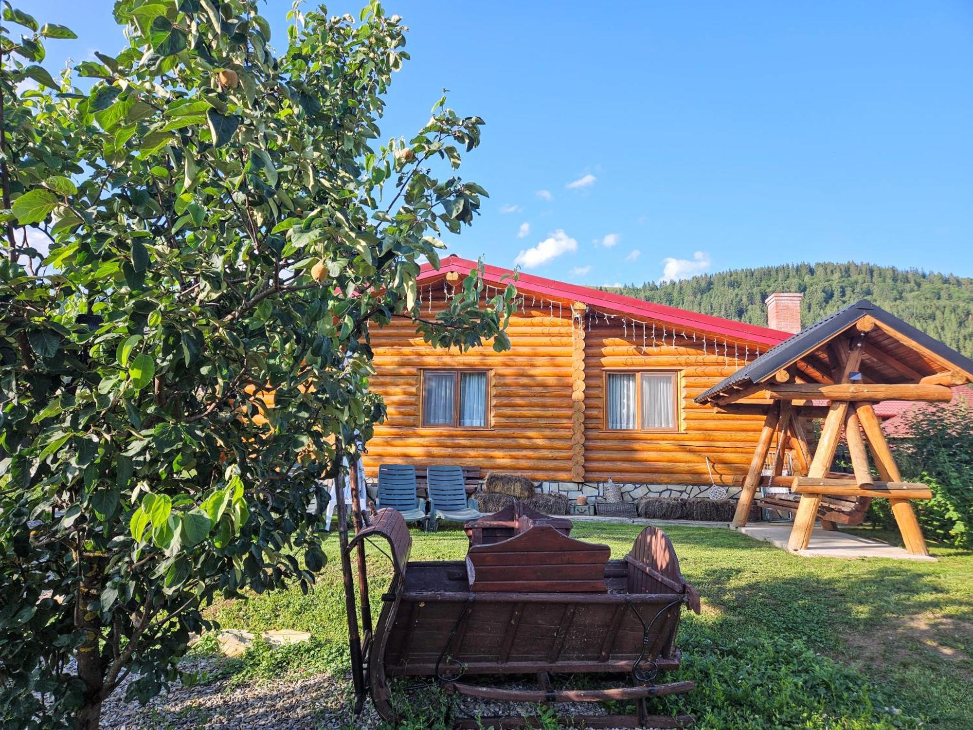 Cabana Alesia, Relaxare La Poalele Raraului Câmpulung Moldovenesc Exterior photo